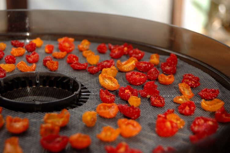 Choose the Best Food Dehydrator for Gardeners
